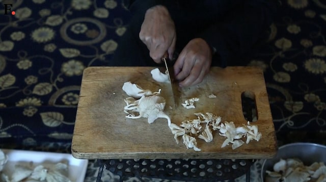 Watch: Locals in besieged Syrian town of Douma are swapping meat for mushrooms Watch: Locals in besieged Syrian town of Douma are swapping meat for mushrooms
