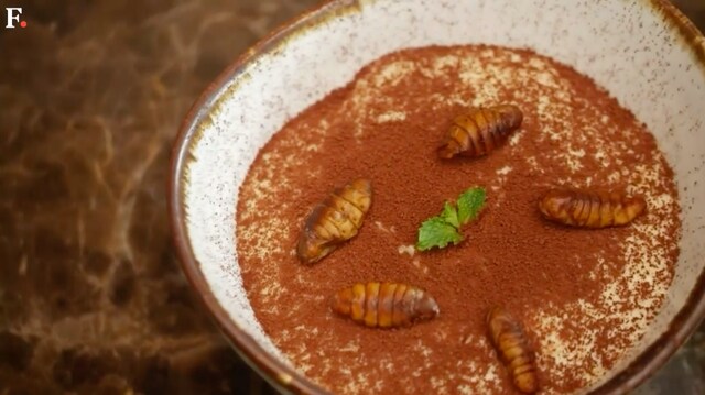 Gourmet grub: Thai fine-diners explore insect cuisine Gourmet grub: Thai fine-diners explore insect cuisine