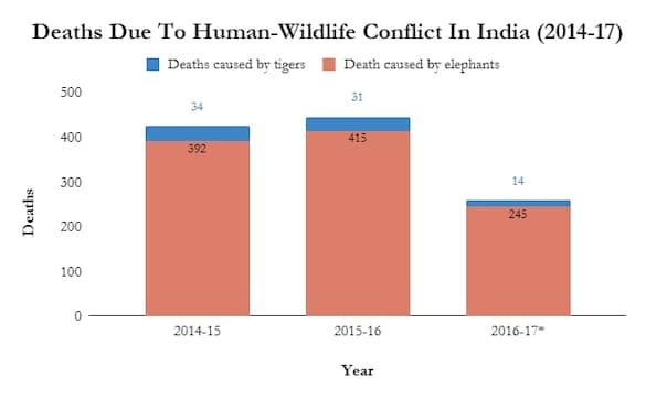 Man-animal conflict: Elephants, tigers have killed 1,100 people across India since 2014 Man-animal conflict: Elephants, tigers have killed 1,100 people across India since 2014