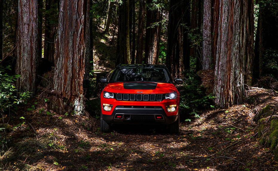 Kevin Flynn, President and Managing Director, FCA India said, Kevin Flynn, President and Managing Director, FCA India said,