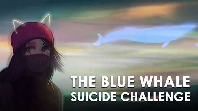 As Blue Whale Challenge spreads in Kerala, teachers, parents and politicians gear up for long and arduous fight As Blue Whale Challenge spreads in Kerala, teachers, parents and politicians gear up for long and arduous fight