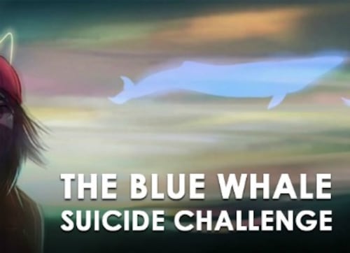 Blue Whale challenge: Chhattisgarh police launch probe as number of cases rise Blue Whale challenge: Chhattisgarh police launch probe as number of cases rise