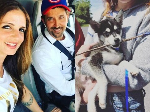 Hrithik Roshan called 'good soul', Sophie Turner-Joe Jonas get new puppy: Social Media Stalkers' Guide Hrithik Roshan called 'good soul', Sophie Turner-Joe Jonas get new puppy: Social Media Stalkers' Guide