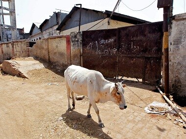 Cow-related hate crimes: 2017 was deadliest year for such violence since 2010; 86% of those killed were Muslims