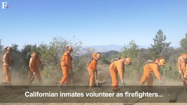 Watch: California inmates fight wildfires for a buck an hour and love it Watch: California inmates fight wildfires for a buck an hour and love it
