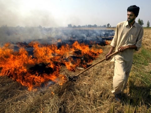 Delhi pollution: Putting farmers in jail for crop burning not the solution, amicus curiae tells SC Delhi pollution: Putting farmers in jail for crop burning not the solution, amicus curiae tells SC