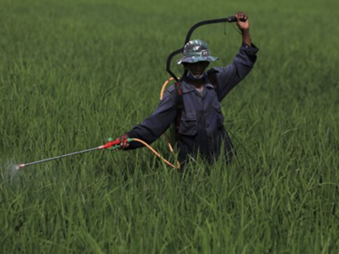 Centre for Science and Environment demands ban on toxic pesticides following death of Yavatmal farmers