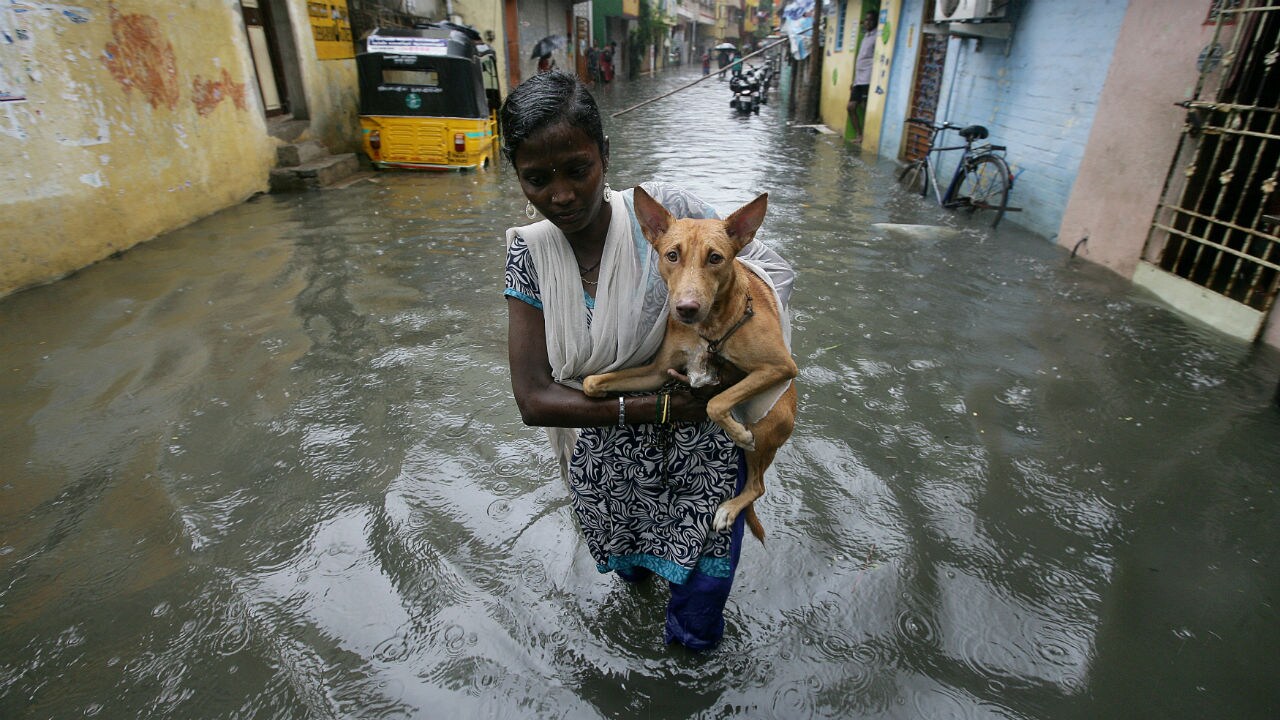Chennai rains. Reuters