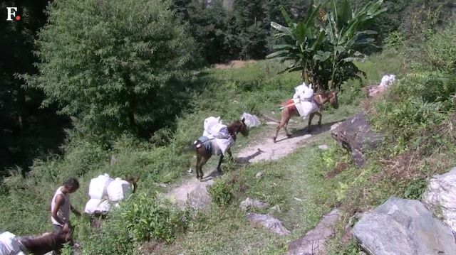 Lifeline trails restored to Nepal's 2015 quake-hit villages Lifeline trails restored to Nepal's 2015 quake-hit villages
