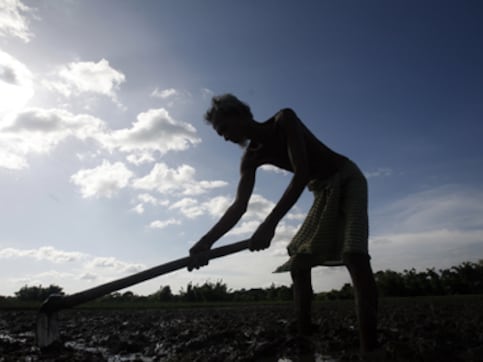Another farmer in Odisha commits suicide due to crop loss, 10th such case in state since October Another farmer in Odisha commits suicide due to crop loss, 10th such case in state since October