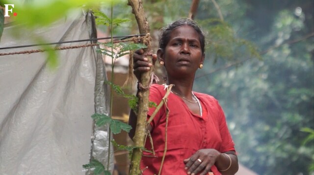 Plight of Adiyan and Vetan communities of Kerala highlight why India needs to revisit criteria for determining tribal identity Plight of Adiyan and Vetan communities of Kerala highlight why India needs to revisit criteria for determining tribal identity
