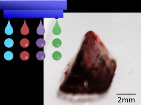 Scientists develop a method to print stable biological structures; could be applied to printing human organs in future Scientists develop a method to print stable biological structures; could be applied to printing human organs in future