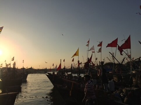 Gujarat Assembly Election 2017: Porbandar fishermen stuck between govt apathy and polluted waters Gujarat Assembly Election 2017: Porbandar fishermen stuck between govt apathy and polluted waters