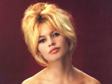 French actress Brigitte Bardot to publish book on her animal rights campaign; also takes jibe at Prez Macron
