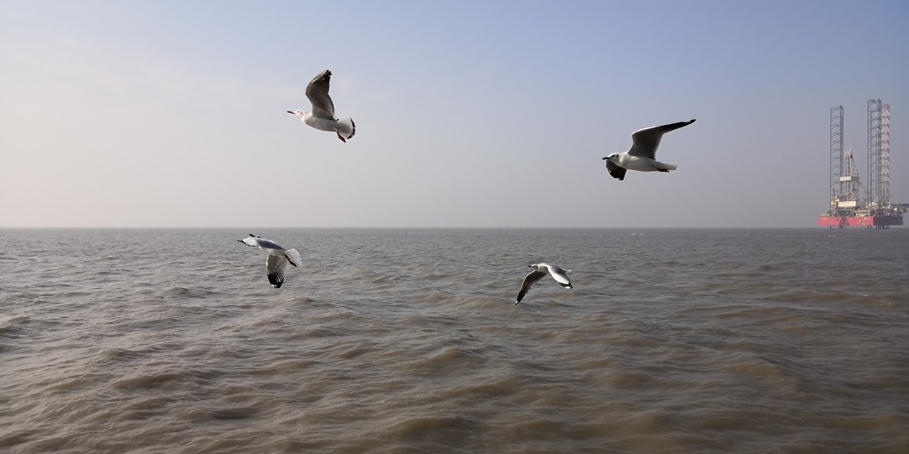 Screenshot from a video shot on Honor Viewo10. The sharpness and quality is really impressive.