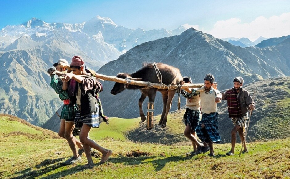 Benanav's fascinating insights into the life of the Van Gujjars is documented in the book, ‘Himalaya Bound’. Here, a wounded yearling is carried to safety. Photograph by Michael Benanav Benanav's fascinating insights into the life of the Van Gujjars is documented in the book, ‘Himalaya Bound’. Here, a wounded yearling is carried to safety. Photograph by Michael Benanav