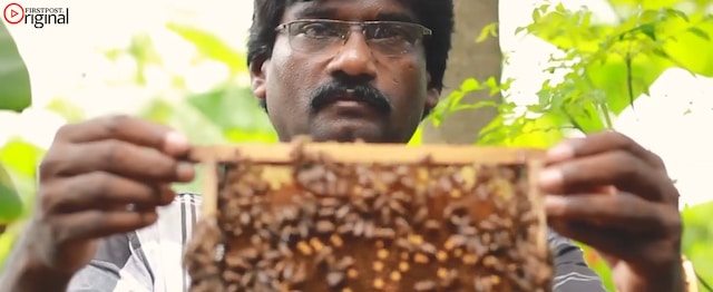 Meet Johnson Jacob — the man famous for being Mumbai’s lone beekeeper Meet Johnson Jacob — the man famous for being Mumbai’s lone beekeeper