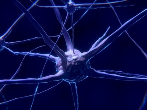 Scientists develop new type of neural network chip to make teaching machines think more like humans Scientists develop new type of neural network chip to make teaching machines think more like humans