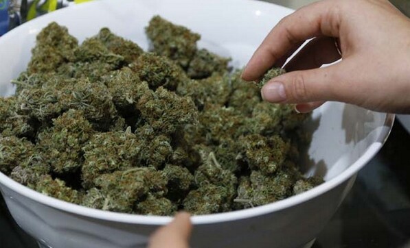 Chronic pain the most common reason why people enroll in medical marijuana programs Chronic pain the most common reason why people enroll in medical marijuana programs