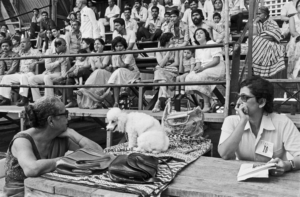 Dog show, Bombay 1984 ©Sooni Taraporevala. Courtesy Sunaparanta Dog show, Bombay 1984 ©Sooni Taraporevala. Courtesy Sunaparanta