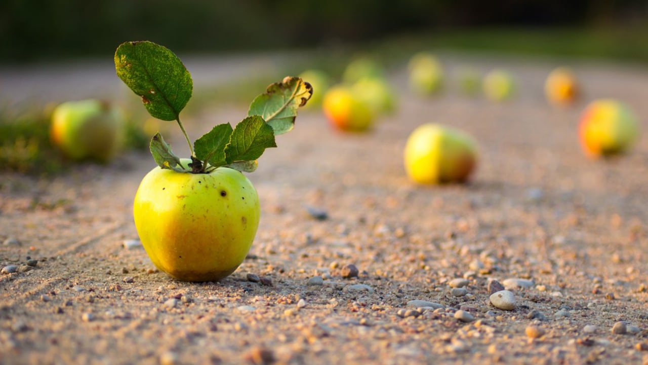 This example perfectly demonstrates the concept of DOF. Note that only a small portion of the image is in focus.