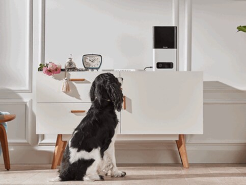 Petcube's new gadgets will let pets take selfie videos and call you up when you're away Petcube's new gadgets will let pets take selfie videos and call you up when you're away