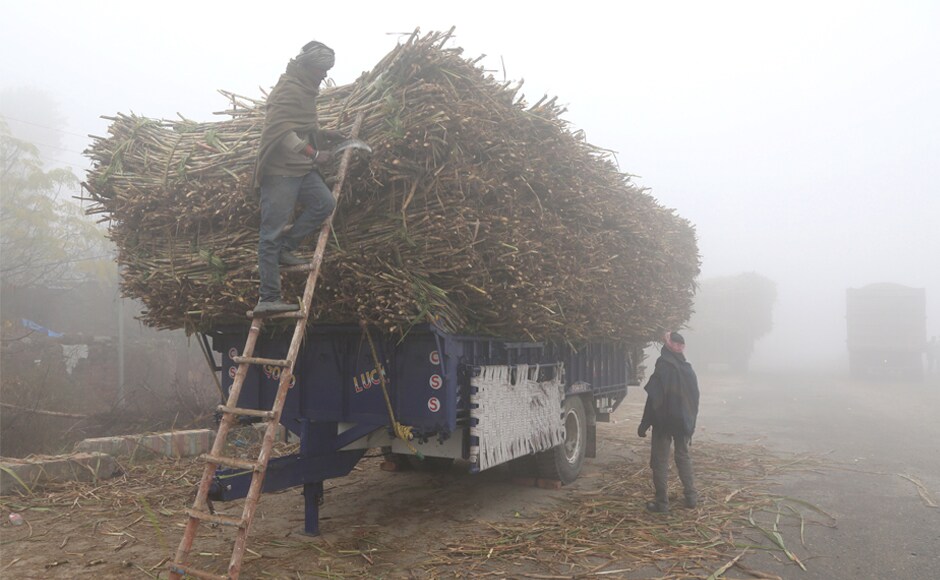 A farmer cuts dried-up sugarcane loaded on a parked trolley alongside a road on a foggy winter morning in Jalandhar, Punjab. According to Skymet Weather, minimum temperatures will continue to drop gradually. Reuters Heavy fog disrupts normal life in Uttar Pradesh, Punjab, Haryana: Cold wave intensifies in several parts of India