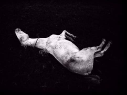 Meanwhile On Instagram: Siddhartha Hajra's photos highlight the poetic in the everyday