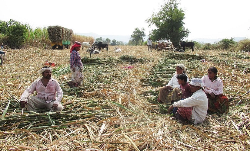 he labourers take a rare brief break during their long work day. Image courtesy Parth MN