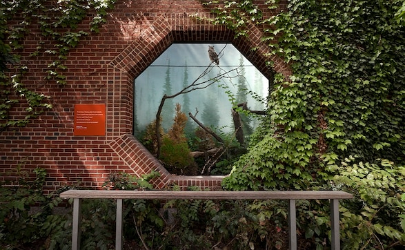 JaipurPhoto 2018: Asmita Parelkar's Giraffe Behind The Door looks at how zoos replicate nature JaipurPhoto 2018: Asmita Parelkar's Giraffe Behind The Door looks at how zoos replicate nature