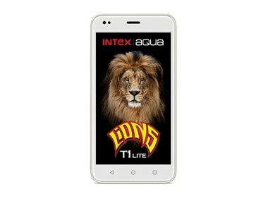Image: Intex