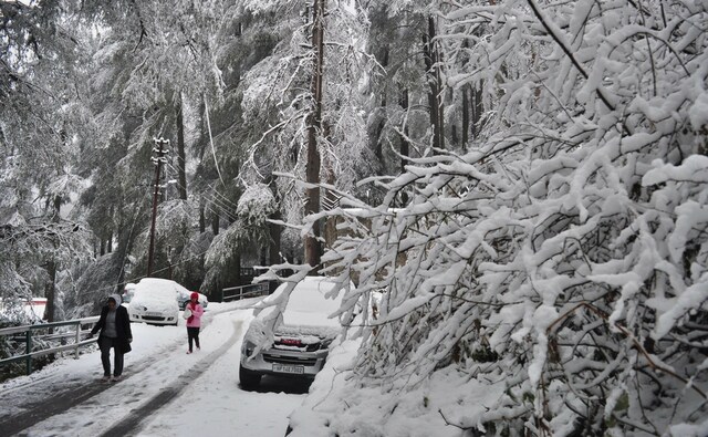 As news of the snowfall spread, tourists started arriving in Shimla and in nearby Kufri, Mashobra and Narkanda. However, towns in Shimla district such as Jubbal, Kotkhai, Kharapathar, Rohru and Chopal are cut off due to snow. Kothi near Manali experienced 45 centimetres of snow, the highest in the state. PTI As news of the snowfall spread, tourists started arriving in Shimla and in nearby Kufri, Mashobra and Narkanda. However, towns in Shimla district such as Jubbal, Kotkhai, Kharapathar, Rohru and Chopal are cut off due to snow. Kothi near Manali experienced 45 centimetres of snow, the highest in the state. PTI