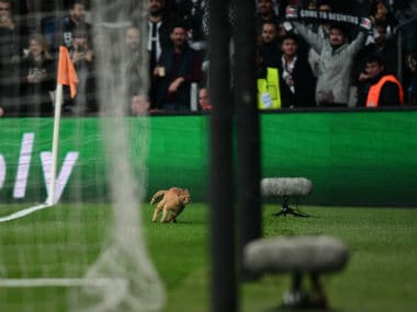 A cat runs on the pitch during the second leg of the last-16 UEFA Champions League clash between Besiktas and Bayern Munich. AFP