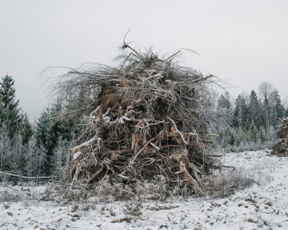 JaipurPhoto 2018: Terje Abusdal blends the eerie and humane in Slash & Burn, a project on the Forest Finns