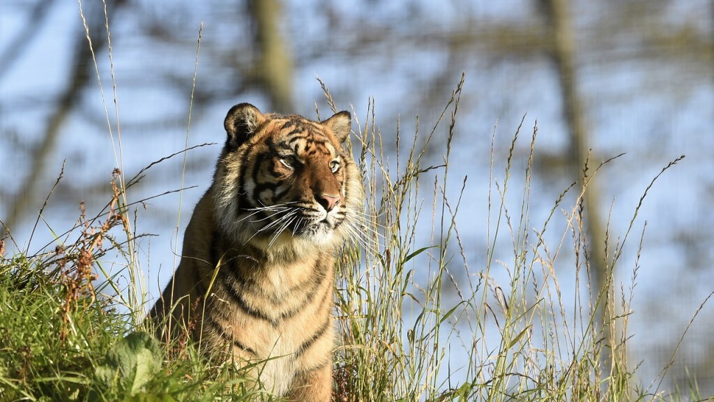 Representational image. Reuters