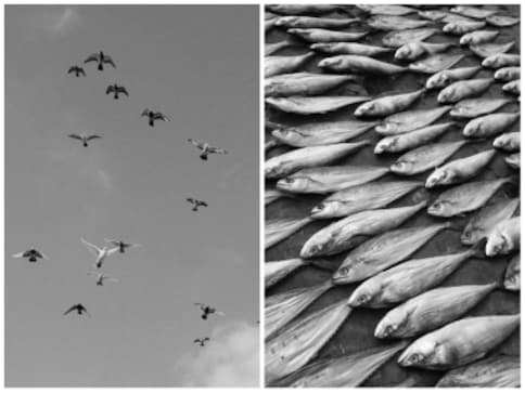 Meanwhile on Instagram: Aishwarya Arumbakkam's photos traverse between dream and reality