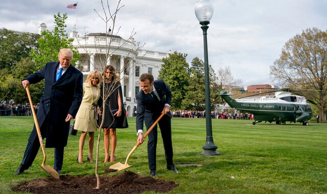 Donald Trump and Emmanuel Macron participated in a tree planting ceremony on the South Lawn of the White House in Washington Monday. AP Donald Trump and Emmanuel Macron participated in a tree planting ceremony on the South Lawn of the White House in Washington Monday. AP