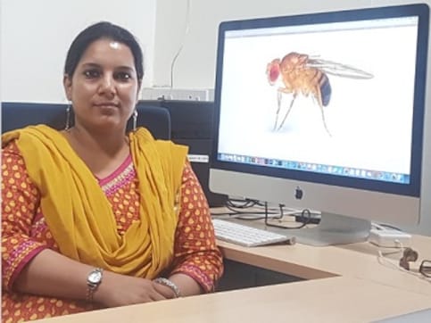 Women in Science: Dr Pinky Kain studies fruit flies to answer how ‘taste’ is processed by our brain Women in Science: Dr Pinky Kain studies fruit flies to answer how ‘taste’ is processed by our brain