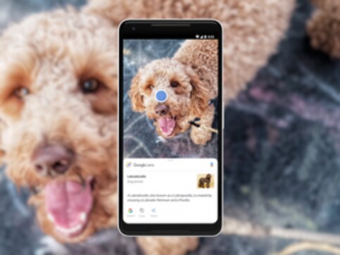 Google Lens finally escapes from the clutches of Google Assistant and Photos, arrives as a standalone app on the Play Store Google Lens finally escapes from the clutches of Google Assistant and Photos, arrives as a standalone app on the Play Store