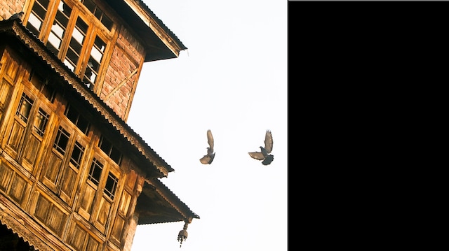 Decades after Kashmiri Pandits fled Valley in fear, what remains? Decades after Kashmiri Pandits fled Valley in fear, what remains?