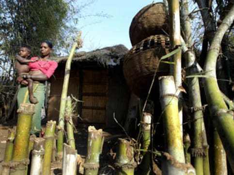 Telangana tribes step up protests demanding removal of Lambadas from ST list, hoist black flags atop houses Telangana tribes step up protests demanding removal of Lambadas from ST list, hoist black flags atop houses