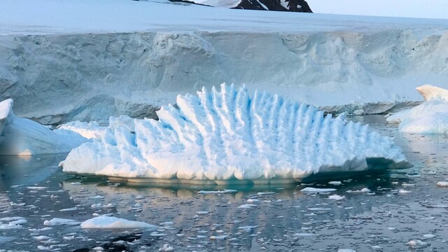 Allergies, polar bears and glaciers: 10 instances of climate change in action Allergies, polar bears and glaciers: 10 instances of climate change in action