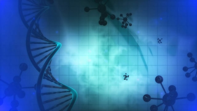 Your genes may be able to explain your low pay checks: Report Your genes may be able to explain your low pay checks: Report