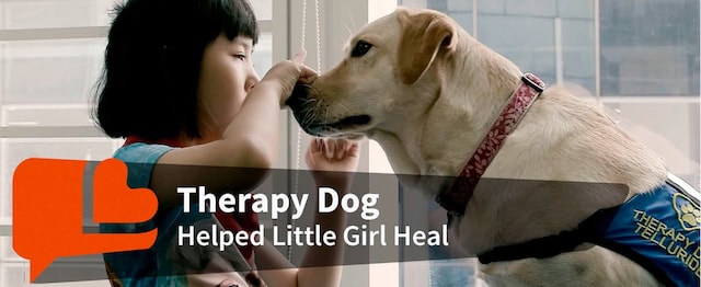 Meet Telly, a therapy dog, and his human Maureen, who are incorporating Animal Assisted Therapy in counselling and social-emotional development 来认识一下治疗犬泰利和它的主人莫林,他们将动物辅助疗法融入到咨询和社交情感发展中