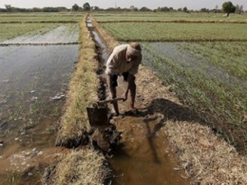 Farmers in Madhya Pradesh begin a 10-day strike demanding loan waiver and right price for crops Farmers in Madhya Pradesh begin a 10-day strike demanding loan waiver and right price for crops