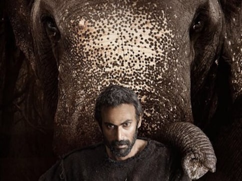 Gorilla, Haathi Mere Saathi, Kumki 2, Adhugo: Animals are the stars of upcoming Telugu, Tamil films