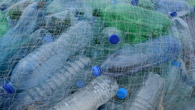 Indian researchers develop new strategy to synthesise bioplastics that will help expand the scope of its production Indian researchers develop new strategy to synthesise bioplastics that will help expand the scope of its production