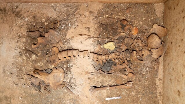 Archaeologists find 'Neko', a noblewoman buried in her jewelry 1,800 years ago Archaeologists find 'Neko', a noblewoman buried in her jewelry 1,800 years ago