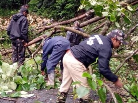 Over 100 trees cut in Kodagu for chief minister HD Kumaraswamy’s one-day visit; DC says order was 'misinterpreted' Over 100 trees cut in Kodagu for chief minister HD Kumaraswamy’s one-day visit; DC says order was 'misinterpreted'