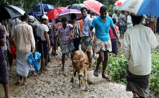 A Rohingya refugee man returns to the camp after buying a cow ahead of Eid al-Adha to sacrifice in the Kutupaloong refugee camp in Cox's Bazar on 21 August, 2018. Reuters/Mohammad Ponir Hossain A Rohingya refugee man returns to the camp after buying a cow ahead of Eid al-Adha to sacrifice in the Kutupaloong refugee camp in Cox's Bazar on 21 August, 2018. Reuters/Mohammad Ponir Hossain